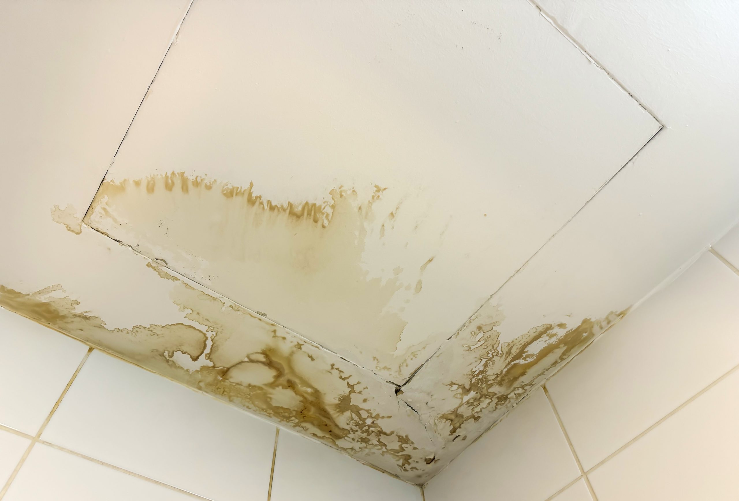 water damage leaking from ceiling concept photo causing mold scaled e1744796917712